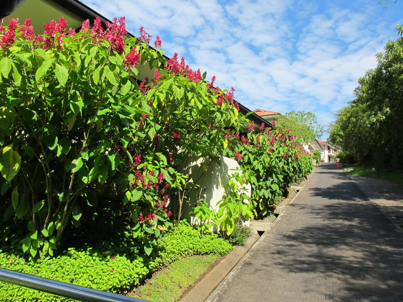 077-costa-rica
