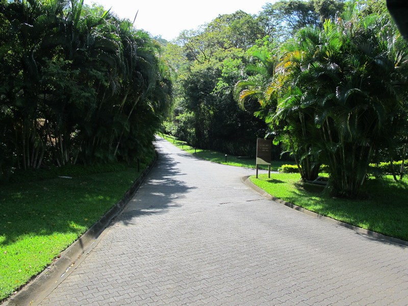 080-costa-rica