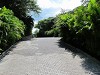 yy-010-costa-rica.jpg