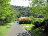 yy-013-costa-rica.jpg