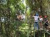 yy-044-costa-rica-zip-lining.jpg