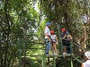 yy-045-costa-rica-zip-lining.jpg