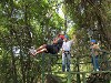 yy-049-costa-rica-zip-lining.jpg