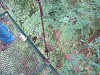 yy-052-costa-rica-zip-lining.jpg
