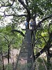 yy-054-costa-rica-zip-lining.jpg