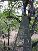 yy-055-costa-rica-zip-lining.jpg