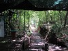 yy-059-costa-rica-zip-lining.jpg