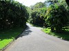 yy-080-costa-rica.jpg