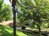 yy-082-costa-rica.jpg