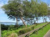 yy-084-costa-rica.jpg