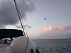 yy-42-SinglesCruise.com-Club-Med-Turks-and-Caicos-Islands.png