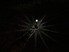 yy-04-Glow-Oracle-AZ-2014.png