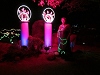 yy-05-Glow-Oracle-AZ-2014.png