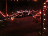 yy-08-Glow-Oracle-AZ-2014.png