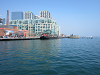 yy-14-toronto-water-front.png