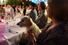 yy-kelcey-roszko-wedding-1895.png
