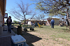 yy-020-Tucson-in-March.png