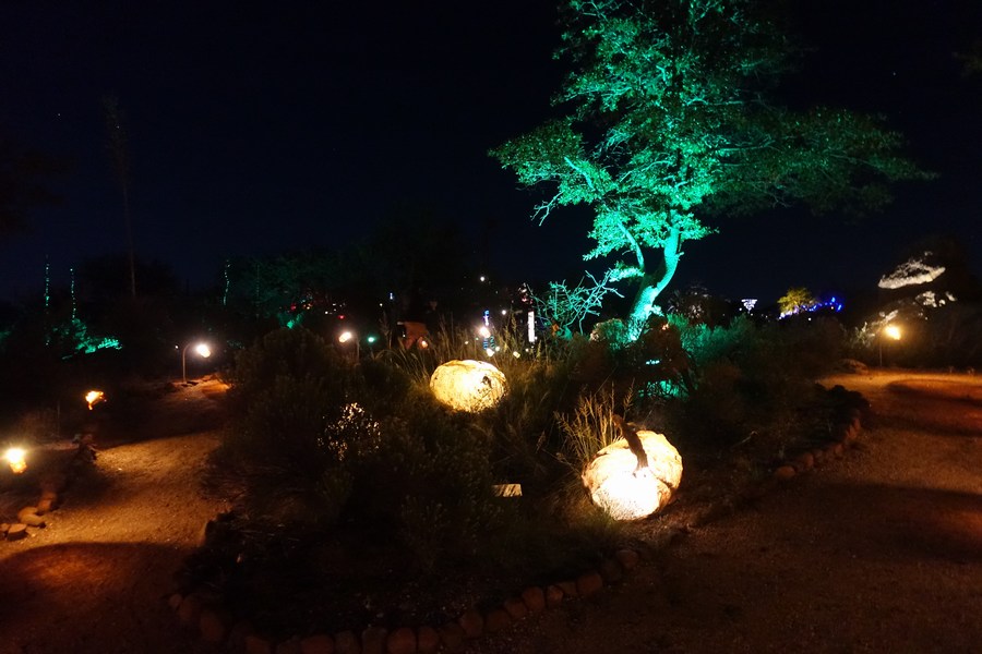 005-GLOW-Oracle-AZ-12-OCT-2019
