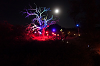 yy-004-GLOW-Oracle-AZ-12-OCT-2019.png