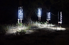 yy-059-GLOW-Oracle-AZ-12-OCT-2019.png