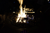 yy-036-tiki-oasis-2021-07-28-thru-08-01.png