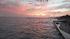 yy-020-Key-West-Food-and-Wine-Fest-2024.png