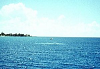 yy-32surface1.png
