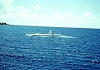 yy-33surface3.png