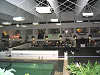 yy-Img_1749.png